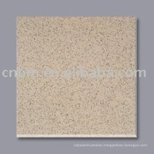 Unglazed Wear resistant Tile